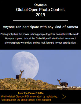 [해외] Global Open Photo Contest 2015.