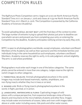 [해외] BigPicture Natural World Photography Competition.