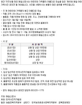 제60회 매일 어린이 및 가족사진 공모전