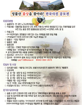 성불산 불상을 찾아라 사진 공모전.
