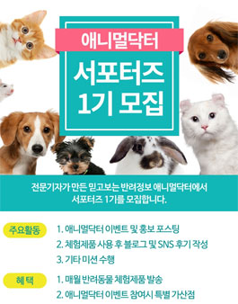 애니멀닥터 서포터즈 1기 모집.