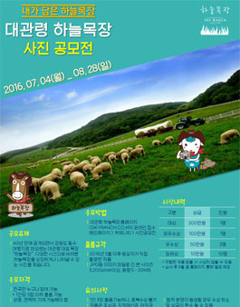 대관령 하늘목장 2016 사진공모전.
