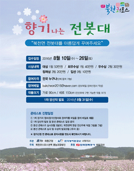 북천권역 코스모스 향기나는 전봇대 콘테스트.