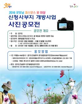 2016 굿모닝 코스모스 꽃 마당 사진 공모전.