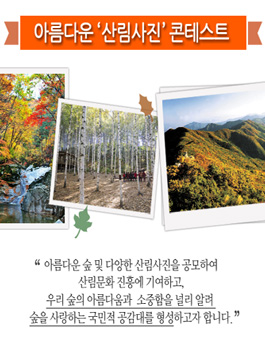 제13회 아름다운 산림사진 콘테스트.
