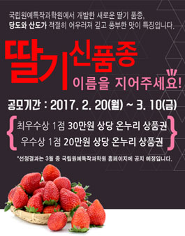 딸기 신품종 이름을 지어주세요!.