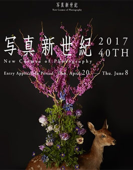 2017 신세기 사진 공모전(New Cosmos of Photography 2017).
