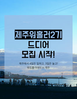 핸디즈 제주워홀러 2기 모집.