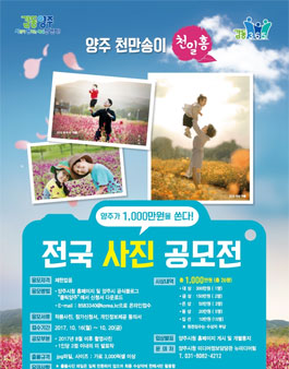 2017 양주 천만 송이 천일홍 사진 공모전