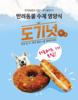 [춤추는 도기넛] 도기넛 서포터즈 1기 모집.