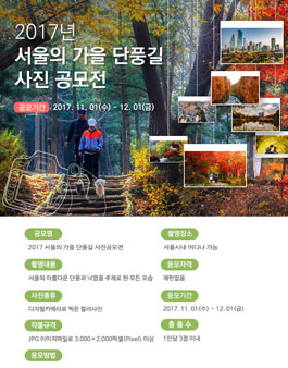 2017 서울의 가을 단풍길 사진공모전.