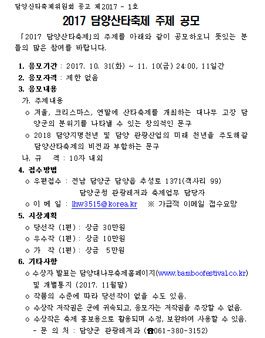 2017 담양산타축제 주제 공모.