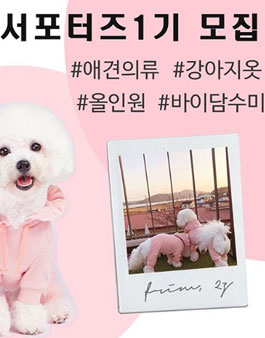 바이담수미 서포터즈 1기.