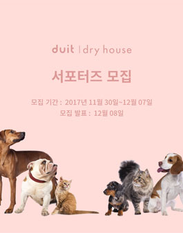 두잇 duit 서포터즈 1기 모집.