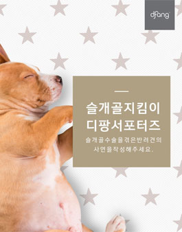 디팡 펫 안전한 콤보 서포터즈모집.