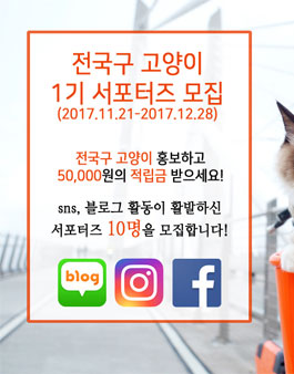 전국구 고양이 1기 서포터즈 모집.
