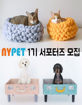 NT PET 뉴욕펫 1기 서포터즈 모집.
