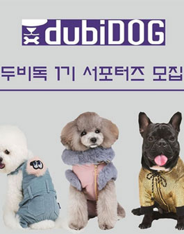 애견의류 브랜드 두비독 1기 서포터즈 모집.