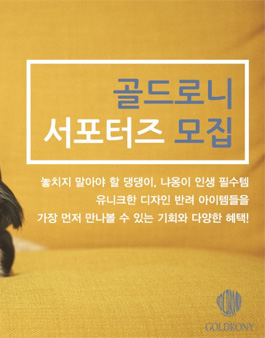 2018 골드로니 서포터즈 모집.