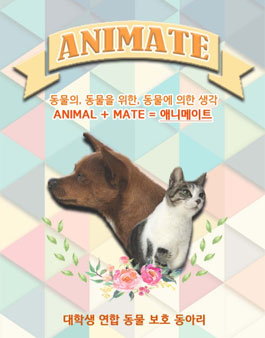 대학생 동물보호 연합동아리 애니메이트 16기 모집.