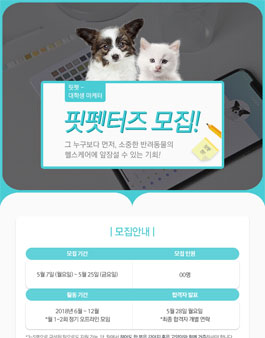 핏펫 대학생 서포터즈 마케팅 핏펫터즈 모집.
