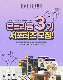 몬트라움 서포터즈 3기 모집.