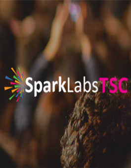 2018 TSC (SparkLabs Tech Startup Challenge).