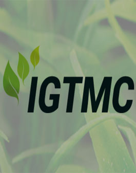 2018 IGTMC (Innovative Green Technologies & Movements Competition)