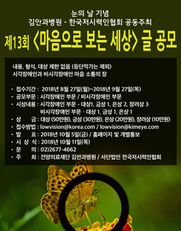 제13회 마음으로 보는 세상 글 공모전.