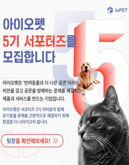 아이오펫 서포터즈 5기 모집.