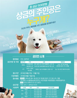 서울예술실용전문학교 애완동물계열 사진, 동영상 콘테스트.