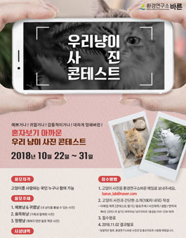 제 1회 환경연구소 바른배 우리 냥이 사진 콘테스트.