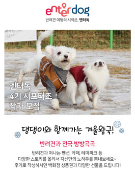 엔터독 서포터즈 작가 4기 모집.