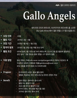 갤로 코리아 갤로 엔젤스 3기 모집.