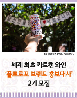풀뽀로꼬 브랜드 홍보대사 2기 모집.