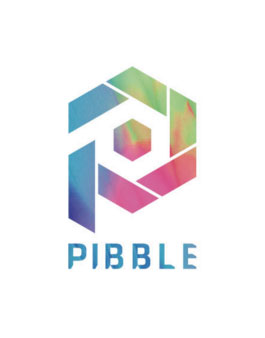 피블 APP 대학생 체험단 모집.