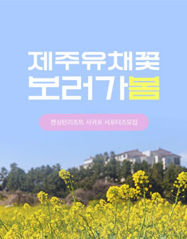 켄싱턴호텔앤리조트 서귀포 서포터즈 모집.