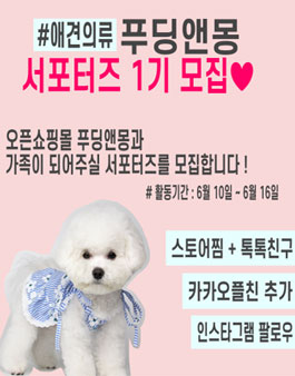 애견의류 푸딩앤몽 서포터즈 모집.
