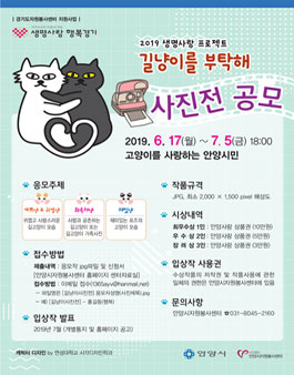 2019 생명사랑 길냥이를 부탁해 사진공모전 (대상:안양시민).