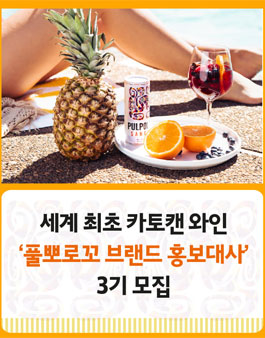 레뱅드매일 풀뽀로꼬 브랜드 홍보대사 3기 모집.