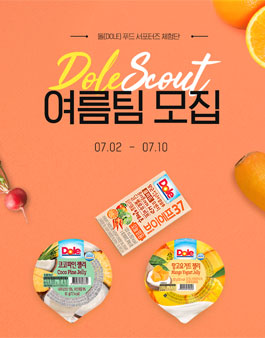돌 푸드 체험단 2019 돌스카우트 여름팀 모집.