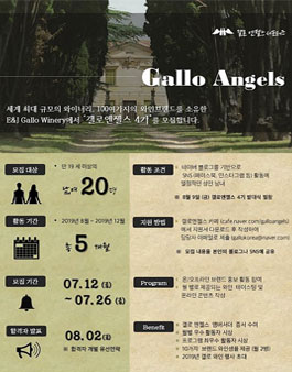 갤로 코리아 갤로 엔젤스 4기 모집.