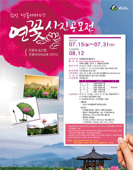 2019 함안 연꽃테마파크 연꽃 사진 공모전.