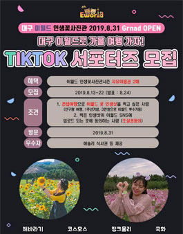 대구 이월드 TIKTOK 서포터즈 모집.
