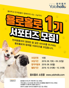 욜로홀로 서포터즈 1기 모집.