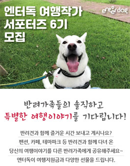엔터독 여행작가 서포터즈 6기 모집.