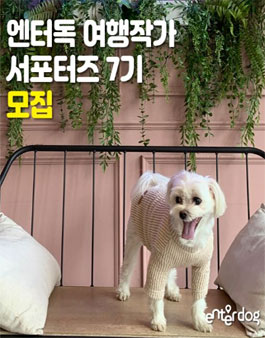 엔터독 여행작가 서포터즈 7기 모집.