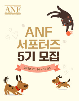 ANF 서포터즈 5기 모집.
