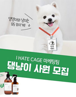 아이헤잇케이지 서포터즈 1기 모집.