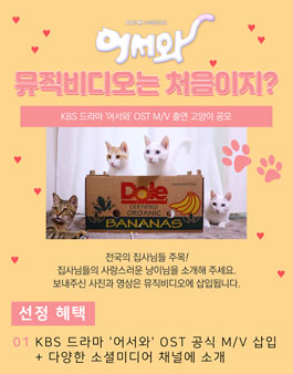 고양이 콘텐츠 공모전 - 어서와! 뮤직비디오 출연은 처음이지?.
